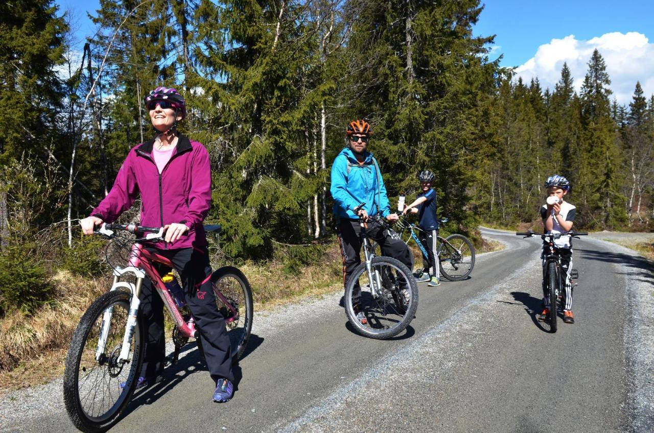 Topcamp Onsakervika - Tyrifjorden Svensrud Eksteriør billede